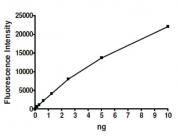 Recombinant HDAC3 complex activity assay