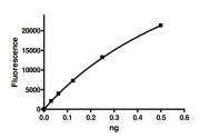 HDAC4 activity assay