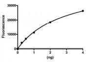 HDAC7 activity assay