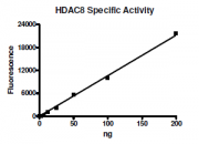HDAC8 activity assay
