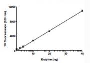 SUV39H2 activity assay