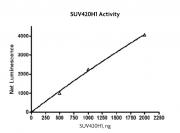 SUV420H1 activity assay