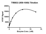 TRIM33 (959-1069) protein activity assay
