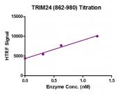 TRIM24 (862-980) HTRF activity assay.