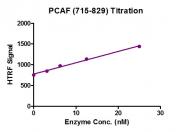 Recombinant KAT2B / PCAF (715-829) protein activity assay.