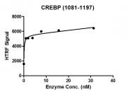 CREBBP (1081-1197) HTRF activity assay