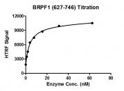 BRPF1 (627-746) HTRF activity assay