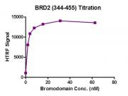 BRD2 (344-455) activity assay