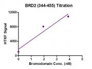 BRD2 (344-455) activity assay