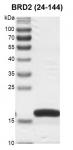 BRD3 (24-144) Coomassie gel