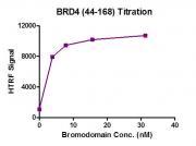 BRD4 (44-168) HTRF activity assay