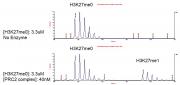 PRC2 complex activity assay