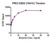 PRC2 EZH2 (Y641C) complex activity assay