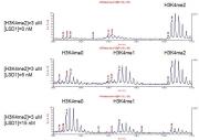 MALDI-TOF Assay for Recombinant LSD1 / KDM1A protein activity. 