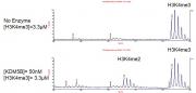 JARID1B / KDM5B activity assay