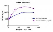 HTRF assay for Recombinant PHF8 protein activity.