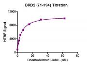 BRD2 (71-194) activity assay