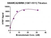 HTRF Assay for SMARCA2 / BRM (1367-1511) activity.