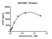 HTRF Assay for Recombinant SETDB1 protein activity.