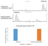JMJD2C / KDM4C activity assay