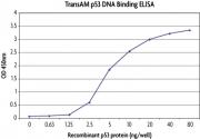 TransAM<sup>®</sup> standard curve using Recombinant p53 protein.