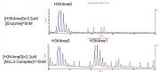 Recombinant KMT2C (MLL3) complex activity assay