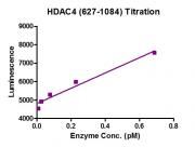 HDAC-Glo Class IIa Assay for HDAC4 activity