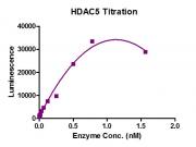 HDAC-GloTM Class IIa Assay for HDAC5 activity