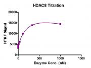 HTRF assay for HDAC8 protein activity