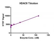 HTRF assay for HDAC8 protein activity