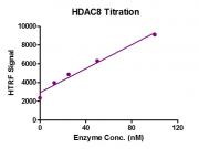 Recombinant HDAC8 Activity Assay