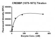Recombinant CREBBP (1075-1873) protein activity assay.
