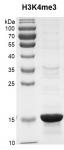 Recombinant Histone H3K4me3 (MLA) protein gel.