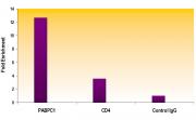 Histone H3K79me2 antibody (pAb) tested by ChIP.