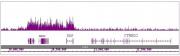 Histone H4K16ac antibody (pAb) tested by ChIP-Seq.