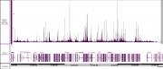 Histone H3K56ac antibody (pAb) tested by CUT&Tag.