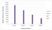 Specificity testing of Histone H3, C-terminal polyclonal antibody