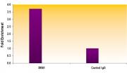 PARP-1 C-terminal antibody (pAb) tested by ChIP.