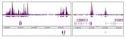 Ring1B antibody (mAb) tested by ChIP-chip.