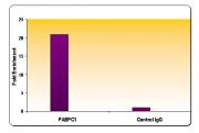 RNA pol II CTD phospho Ser5 antibody (pAb) tested by ChIP.