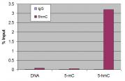 5-Hydroxymethylcytosine (5-hmC) antibody (pAb) tested by MeDIP analysis.