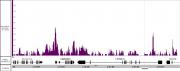 EZH2 antibody (rAb) tested by CUT&RUN