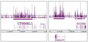 Histone H3K9me1 antibody (pAb) tested by ChIP-chip.