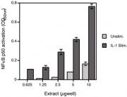 HeLa whole-cell extract (IL-1a stimulated)
