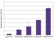 RNA pol II CTD phospho Ser5 antibody (mAb) tested by ChIP.