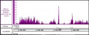 Histone H3K36me3 antibody (pAb) tested by ChIP-Seq.
