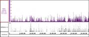 PBRM1 antibody (pAb) tested by ChIP-Seq.