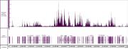 Histone H3K27me2 antibody (mAb) tested by CUT&Tag.
