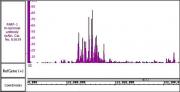 PARP-1 N-terminal antibody (pAb) tested by ChIP-Seq.