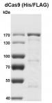 Recombinant dCas9 protein, His / FLAG Tag
